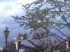 img037.jpg